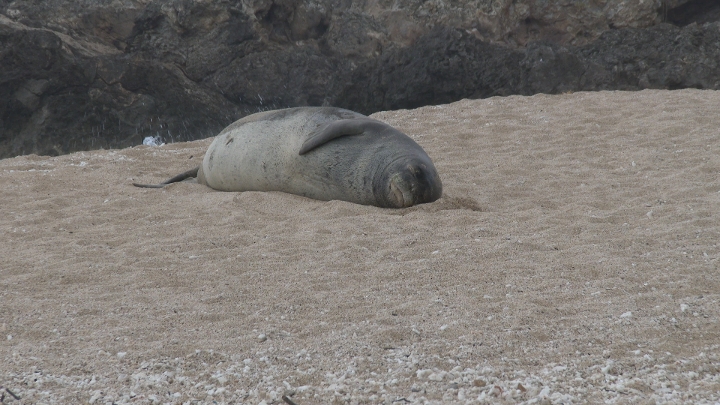 Click to view full quality image