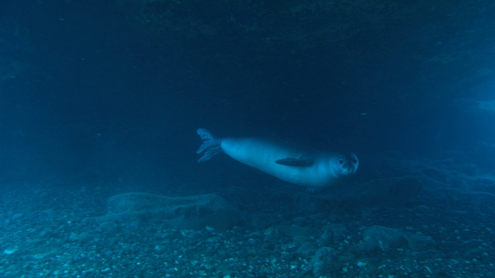 Click to view full quality image