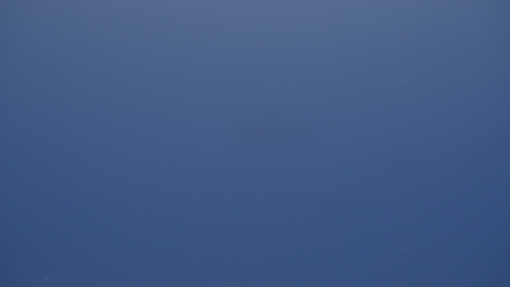 keyframe of organism