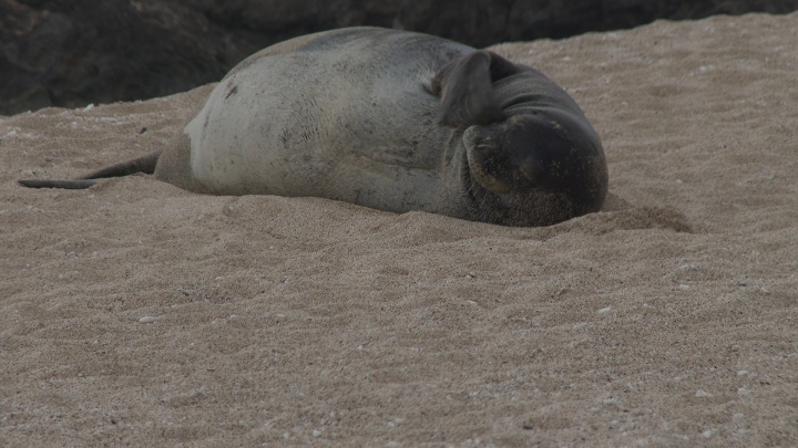 Click to view full quality image