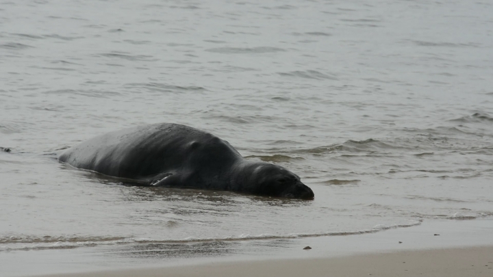 Click to view full quality image