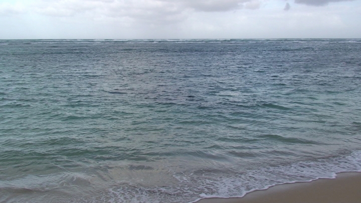 Click to view full quality image